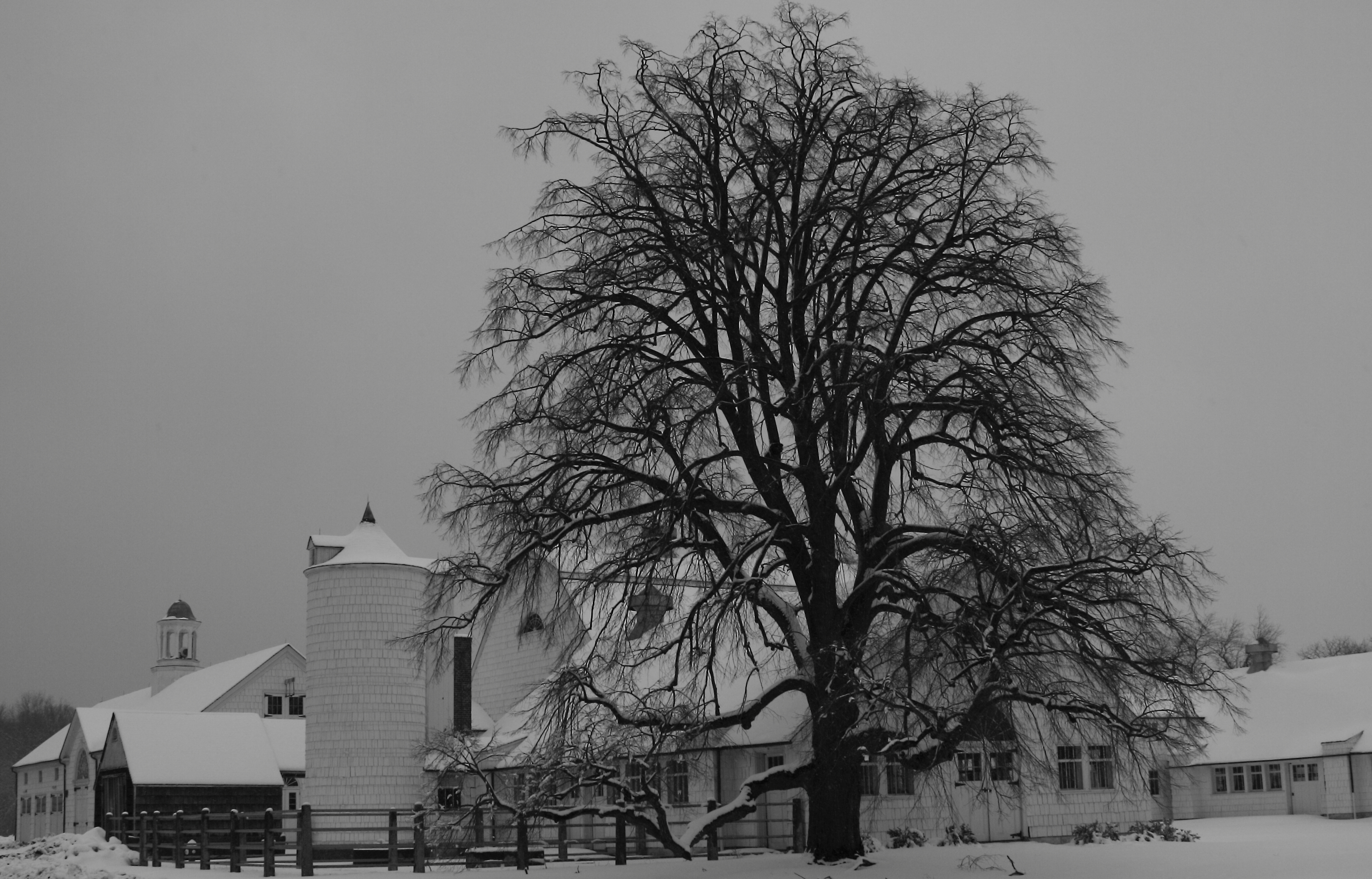 2010 02 16 IMG 8674eebw